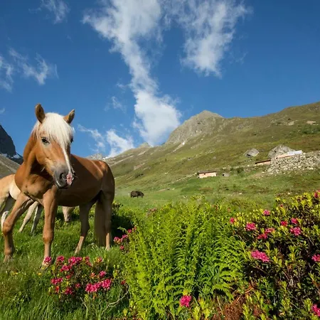 Garni Hanni 호텔 란켄펠트