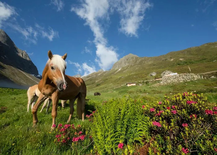 Garni Hanni Hotel Längenfeld